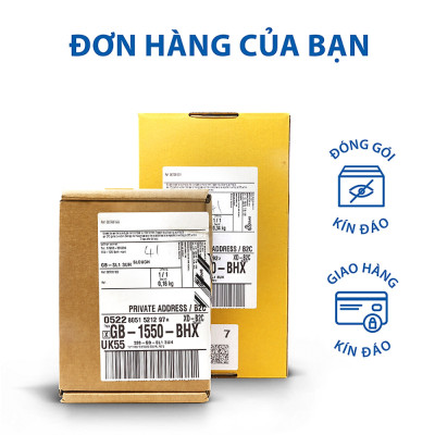 Combo 2 Hộp Sagami Xtreme Type E Green Hộp 10