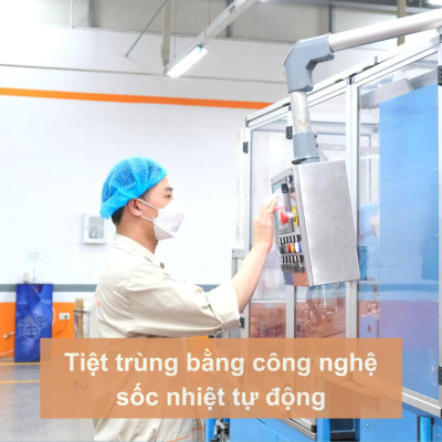 [Lố 12 túi] Tăm bông vệ sinh người lớn YUMY thân nhựa [TB01-024] túi 100 que