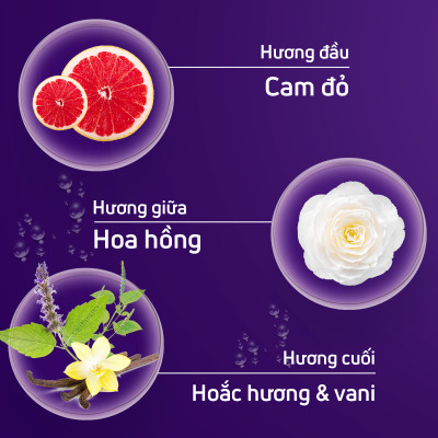 Nước hoa thuỳ tiên,nước hoa rose noire chính hãng adopt hương thơm hoa hồng lôi cuốn ngọt ngào gợi cảm dung tích 30ml
