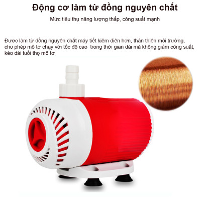 Combo Lọc Thùng Baki 40x30x50cm + Bơm Bể Cá Baoyu 104 & Vật Liệu Lọc Nâng Cao Cho Hồ 400 - 600L