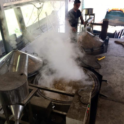 Tinh dầu Khuynh Diệp (bạch đàn) nguyên chất hữu cơ từ thiên nhiên - KingOil