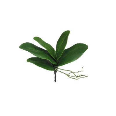 Lá lan hồ điệp giả giống thật 99% - 1 cụm gồm 5 lá - dài 27cm - Cây giả, hoa lụa Decor trang trí nhà cửa