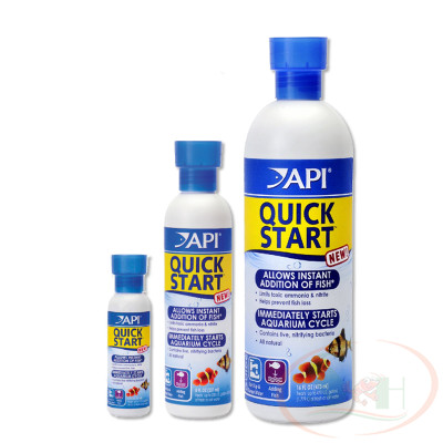 Khởi tạo bể API Quick Start hỗn hợp vi sinh xử lý start up nước bể cá tép thủy sinh