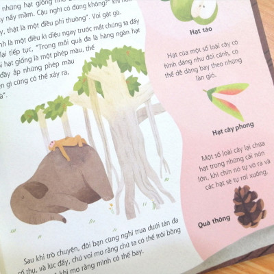 Biên Niên Sử Rừng Già