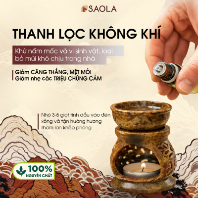 Tinh dầu Bạc hà thương hiệu Làng Hạ 10ml (Peppermint oil): Giúp thông mũi, giải cảm, lọc không khí - Hàng Chính Hãng