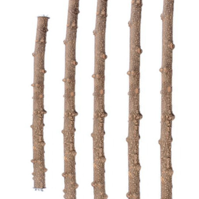 1 CÂY ĐẬU GỖ GẠO SIÊU CỨNG CÁP (CÓ GẮN 2 BÊN PASS) DÙNG ĐỂ LẮP VÀO LỒNG CHIM CHO CHIM, VẸT ĐẬU