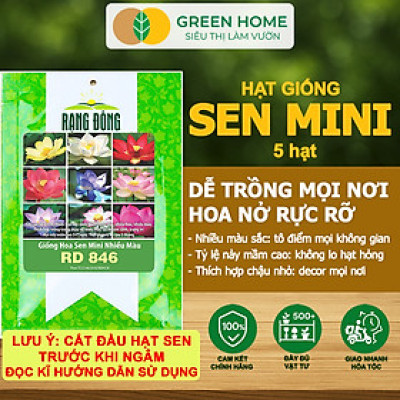 Hạt Giống Hoa Sen Mini GreenHome, Gói 10 Hạt, Nhiều Màu, Dễ Trồng, Dễ Chăm, Nảy Mầm Tốt H01