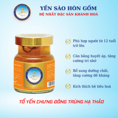[Hộp 6 Hũ] Tổ Yến Chưng Đông Trùng Hạ Thảo - Yến Sào Hòn Gốm Chính Hiệu Khánh Hòa - HGK NEST