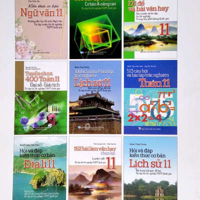 [Hàng thanh lý miễn đổi trả] Rèn Luyện Kĩ Năng Tích Hợp Ngữ Văn 11