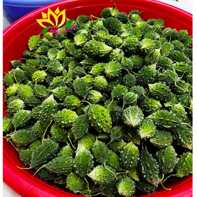 TRÀ TRÁI KHỔ QUA RỪNG HŨ 25G - HƯƠNG SEN VIỆT