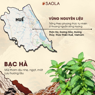 Tinh dầu Bạc hà thương hiệu Làng Hạ 10ml (Peppermint oil): Giúp thông mũi, giải cảm, lọc không khí - Hàng Chính Hãng