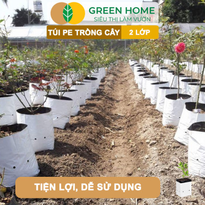 10 Túi Trồng Cây GreenHome, PE 2 Lớp, 17x33CM, Chống UV, Tiện Lợi, Độ Bền 1,5 Năm, Trồng Rau, Hoa