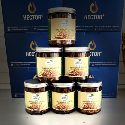 Đông trùng hạ thảo sấy thăng hoa hũ 10g tăng cường sức khỏe sức đề kháng