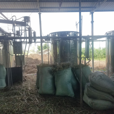 Tinh dầu Hương Thảo 100ml Mộc Mây - tinh dầu thiên nhiên nguyên chất 100% - chất lượng và mùi hương vượt trội