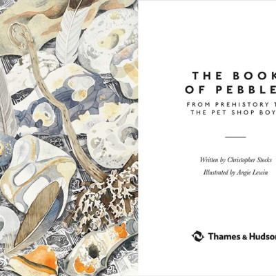 Book Of Pebbles The Perfect Seaside And Armchair Compan, The