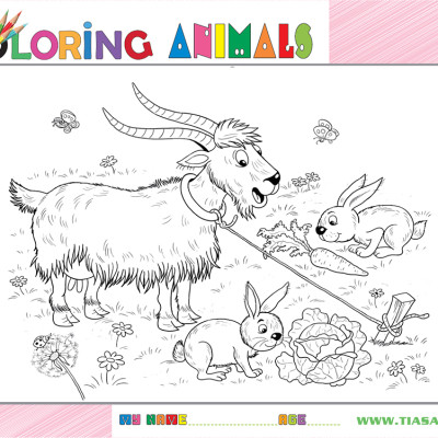 Xếp hình Tia Sáng Dê và thỏ  (30 Mảnh Ghép) - Tặng kèm tranh tô màu cho bé