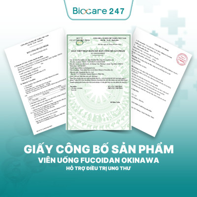 Viên Uống Kanehide Bio Fucoidan Okinawa Hộ Trợ Ức Chế Tăng Trưởng Tế Bào Ung Thư - Hộp 180 Viên