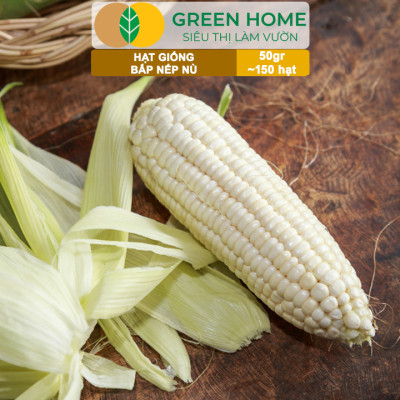 Hạt Giống Bắp Nếp Nù, Greenhome, Gói 50GR~150 hạt, Dễ Trồng Quanh Năm, Nảy Mầm Cao, T33