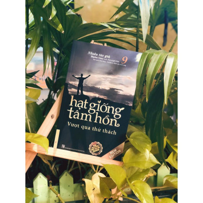 Sách - Hạt giống Tâm Hồn 9 - First News