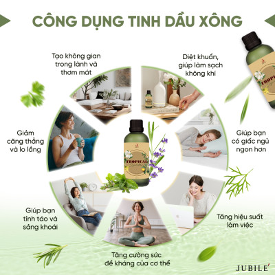 Amber Night - Tinh Dầu Xông Máy, Tinh Dầu Thơm Phòng Thiên Nhiên 100ml Cao Cấp, Sang Trọng