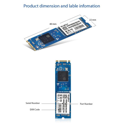 Ổ cứng SSD KingDian Giao diện N480 60GB / 120GB / 240GB