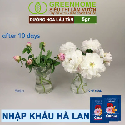 Dưỡng Hoa Lâu Tàn Greenhome, Chrysal, Gói 5gr, Phân Bón Cho Hoa Cắt Cành, Lâu Tàn, Nở Bông To, Không Bị Hôi Nước