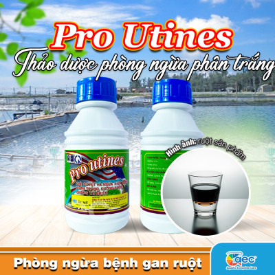 Chế phẩm thảo dược Pro Utines – Giảm nguy cơ phân trắng cho tôm cá