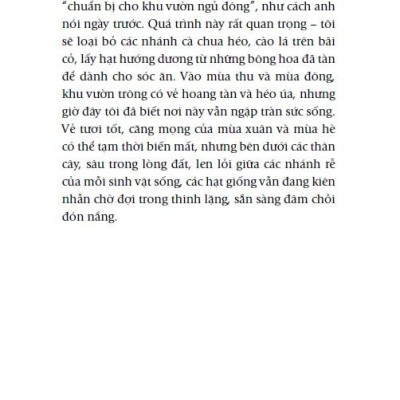Chicken Soup For The Soul - Nắng Ấm Sau Mưa
