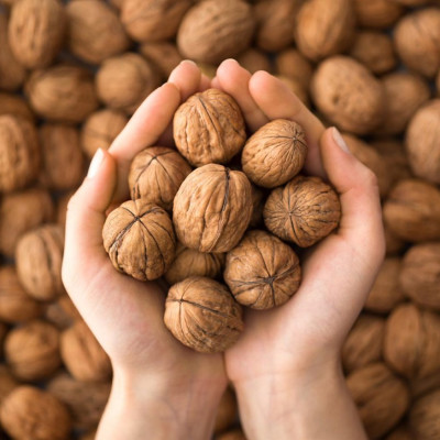 500g quả óc chó