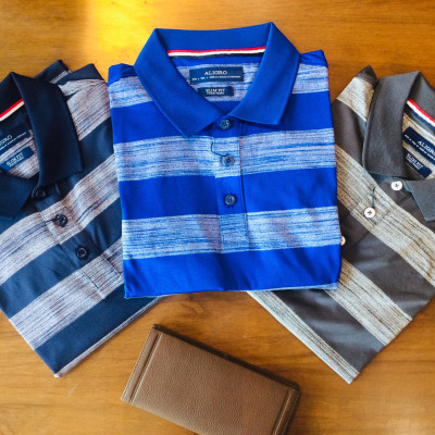 Áo phông nam Aligro ALGPLO56