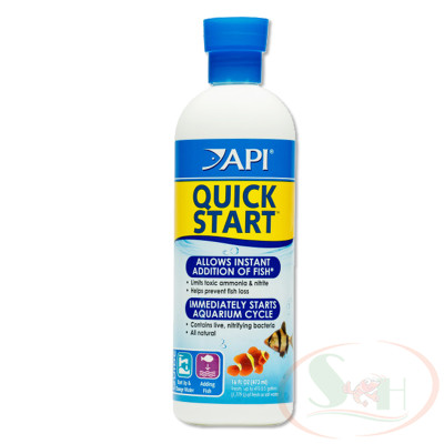 Khởi tạo bể API Quick Start hỗn hợp vi sinh xử lý start up nước bể cá tép thủy sinh