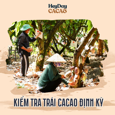 Bột cacao nguyên chất 100% Việt Nam - Dòng Balanced phổ thông túi 200g -  Chuyên dùng làm bánh, pha chế cho quán cà phê - Heyday Cacao
