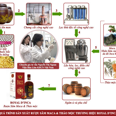 100ml chai thử - Rượu Sâm Maca & Thảo mộc - Royal D