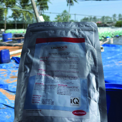 Điều tiết miễn dịch và tăng sức đề kháng tôm LALPACK IMMUNE
