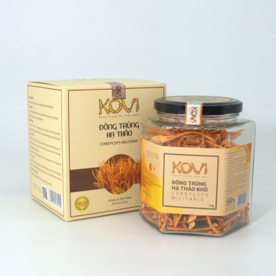 Đông trùng hạ thảo KOVI khô sấy thăng hoa 25g | Loại đẹp chất lượng cao tốt cho sức khỏe