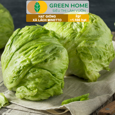 Hạt Giống Xà Lách MINETTO GreenHome, Gói 2gr1100 hạt, Dễ Trồng Quanh Năm, Năng Suất Cao R19