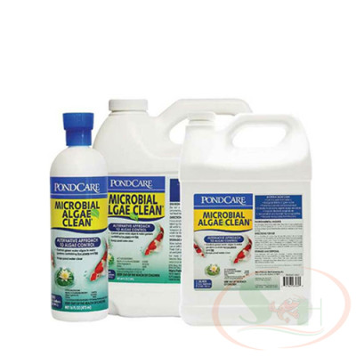 Xử lý tảo API Microbial Algae Clean vi sinh phân hủy mùn bã cặn nước xanh bể cá tép