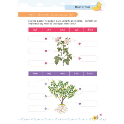 Sách - Mind Map Từ Vựng Tiếng Anh Cho Học Sinh Tiểu Học - MCBooks