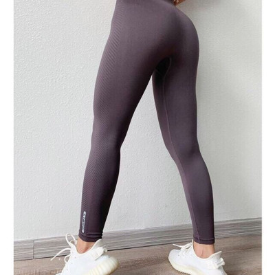 Quần Dài Nữ Tập Thể Thao Thun Dệt Dày Dặn Siêu Mịn