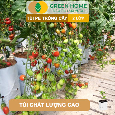 Túi Trồng Cây GreenHome, PE 2 Lớp, Chống UV, Tiện Lợi, Kinh Tế, Độ Bền 1,5 Năm, Trồng Rau, Hoa, Dâu Tây