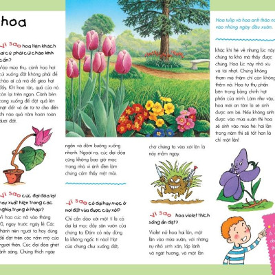 Vì Sao? Như Thế Nào? Thế Giới Tự Nhiên (Tái Bản)