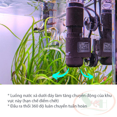 Lọc váng OASE Crystal Skimmer 350, 600 Surface hút váng dầu bể cá tép thủy sinh