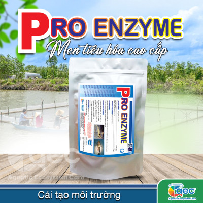 PRO ENZYME – Chế phẩm vi sinh hỗ trợ tiêu hóa cho tôm, cá