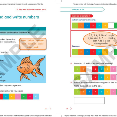 Cambridge Primary Mathematics Learner