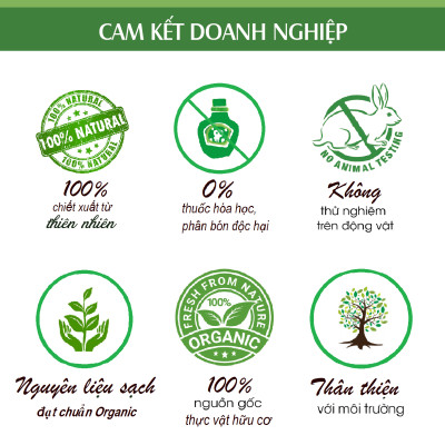 Tinh dầu Hoa Phong Lữ nguyên chất 100% từ thiên nhiên, xông phòng, khử mùi, thơm phòng, đuổi muỗi, thư giản - KingOil
