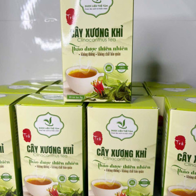 Trà túi lọc Cây xương khỉ ( Hộp 30 túi mổi túi 5g) - Tốt cho người gan b,c, men gan cao, nhức mỏi, đau nhức và hỗ trợ K
