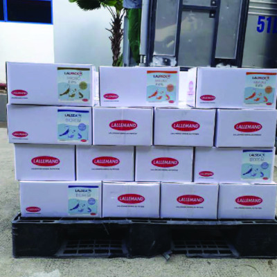 Điều tiết miễn dịch và tăng sức đề kháng tôm LALPACK IMMUNE