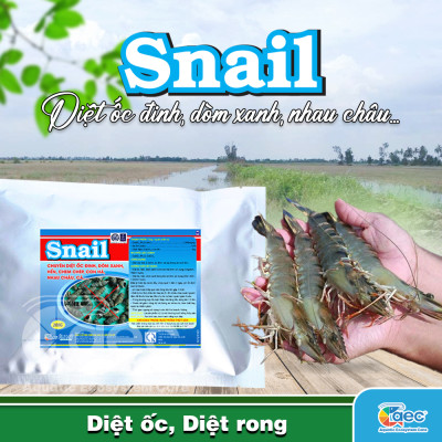 SNAIL – Xử lý ốc đinh, dòm xanh, hến, trong môi trường ao nuôi tôm cá