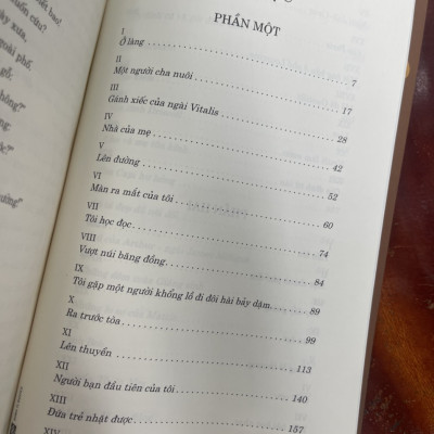 KHÔNG GIA ĐÌNH (Bản dịch mới, đầy đủ) - Hector Malot – Đinh Tị Books (Tái bản 2022)