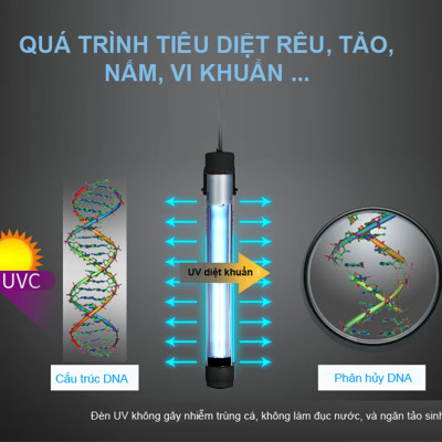 Đèn UV Hồ Cá Diệt Tảo / Đèn UV Chống Rêu, Vi Khuẩn Có Hại Cho Bể Cá Lớn/Mini